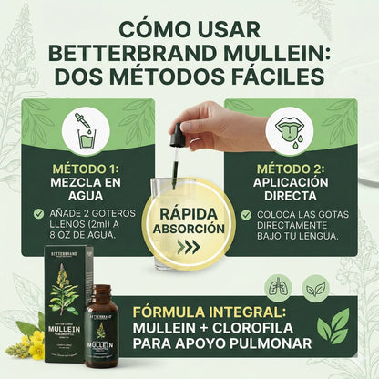 🌿 Gotas de Gordolobo Betterbrand 100% ORIGINAL 🫁💧 Desintoxicación Pulmonar & Salud Respiratoria 🌬️✨ Tintura herbal con clorofila • Sin alcohol • Fórmula natural • 60 ml (1 mes)