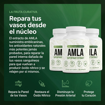 AMLA® Cápsulas de Superfruta Milenaria — Protección Antioxidante & Bienestar Cardiovascular
