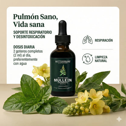🌿 Gotas de Gordolobo Betterbrand 100% ORIGINAL 🫁💧 Desintoxicación Pulmonar & Salud Respiratoria 🌬️✨ Tintura herbal con clorofila • Sin alcohol • Fórmula natural • 60 ml (1 mes)