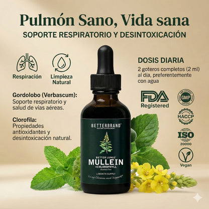 🌿 Gotas de Gordolobo Betterbrand 100% ORIGINAL 🫁💧 Desintoxicación Pulmonar & Salud Respiratoria 🌬️✨ Tintura herbal con clorofila • Sin alcohol • Fórmula natural • 60 ml (1 mes)