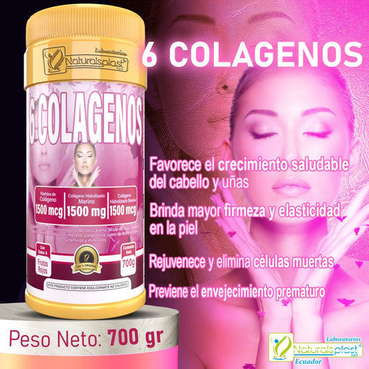 6 Colagenos En 1 En Polvo 700gr