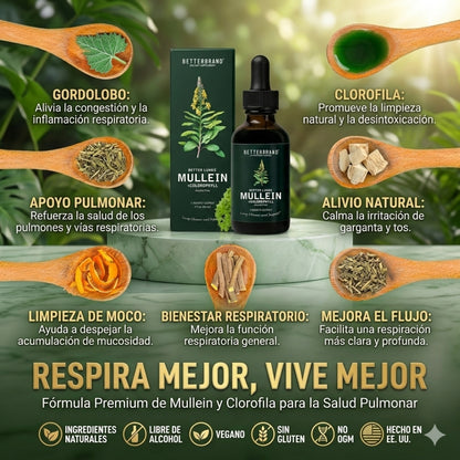 🌿 Gotas de Gordolobo Betterbrand 100% ORIGINAL 🫁💧 Desintoxicación Pulmonar & Salud Respiratoria 🌬️✨ Tintura herbal con clorofila • Sin alcohol • Fórmula natural • 60 ml (1 mes)