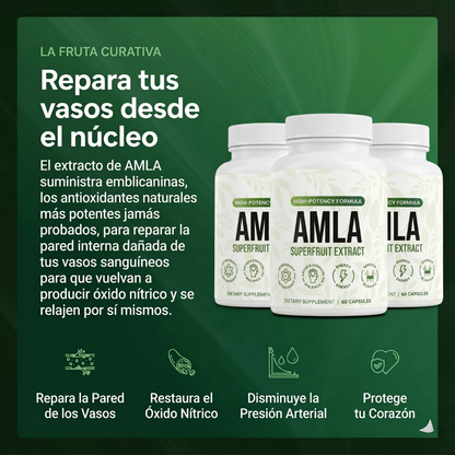 AMLA® Cápsulas de Superfruta Milenaria — Protección Antioxidante & Bienestar Cardiovascular