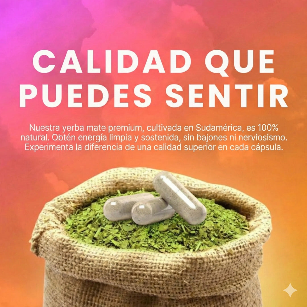 🌿 Yerba Magic™ Energía natural y claridad mental para tu día a día 60 Cápsulas | Yerba Mate Premium