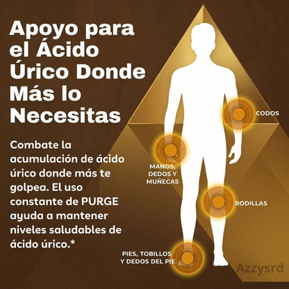 PURGE URIC ACID - DEPURACIÓN AVANZADA PARA EL ÁCIDO ÚRICO, RIÑONES Y ARTICULACIONES ( 60 CAPSULAS )