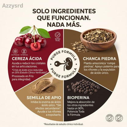 PURGE URIC ACID - DEPURACIÓN AVANZADA PARA EL ÁCIDO ÚRICO, RIÑONES Y ARTICULACIONES ( 60 CAPSULAS )