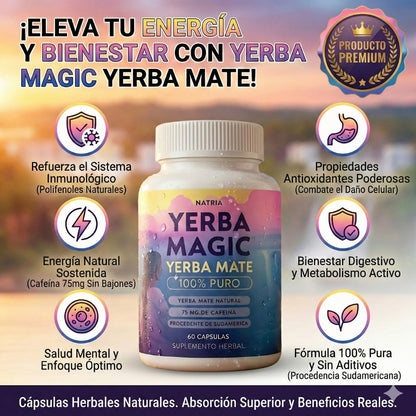 🌿 Yerba Magic™ Energía natural y claridad mental para tu día a día 60 Cápsulas | Yerba Mate Premium
