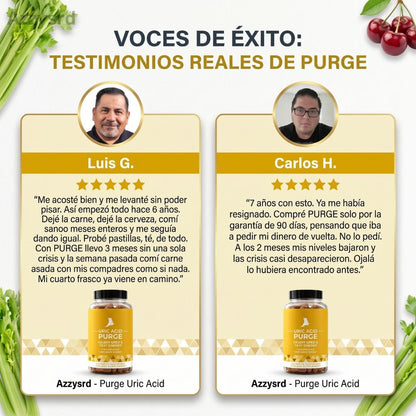 PURGE URIC ACID - DEPURACIÓN AVANZADA PARA EL ÁCIDO ÚRICO, RIÑONES Y ARTICULACIONES ( 60 CAPSULAS )