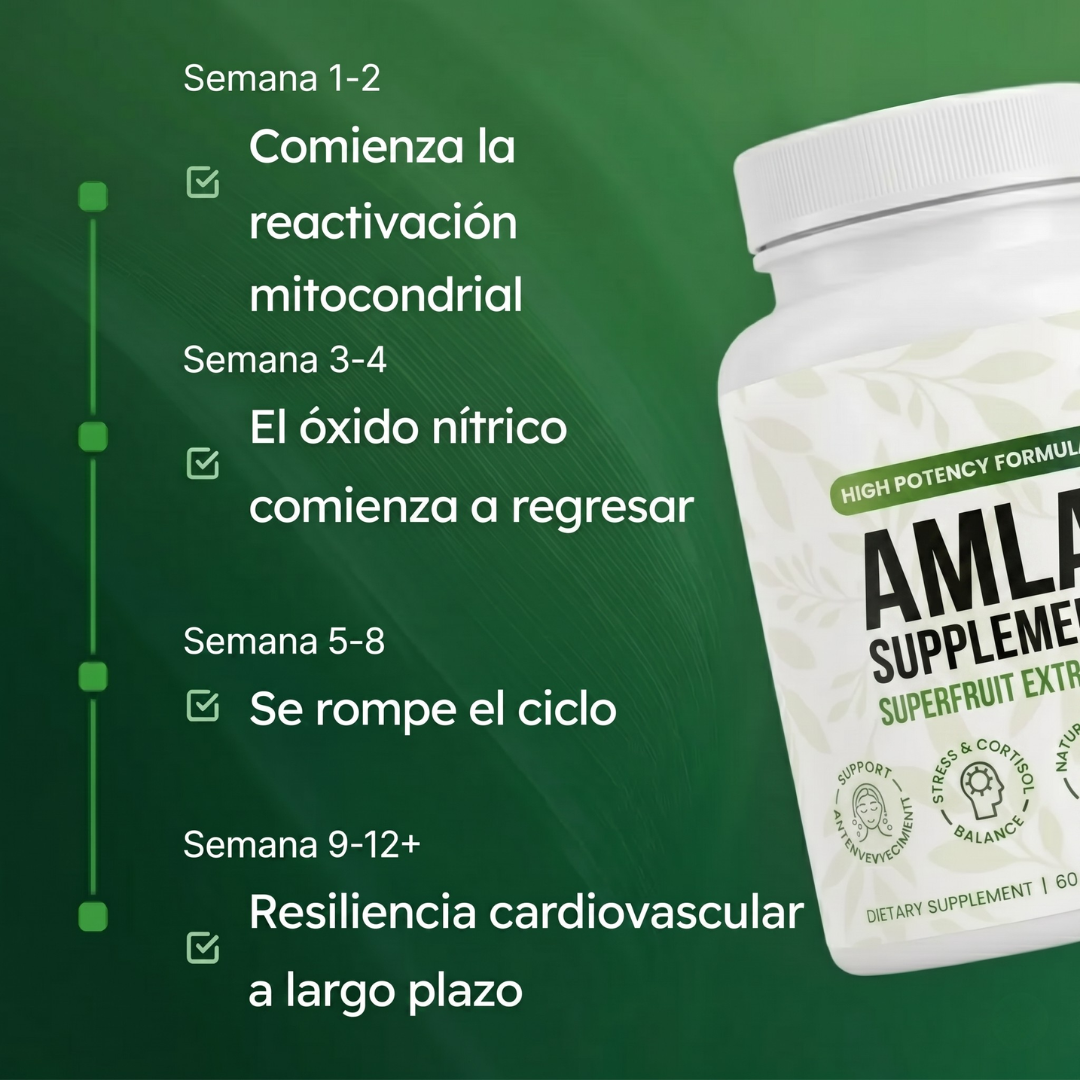 AMLA® Cápsulas de Superfruta Milenaria — Protección Antioxidante & Bienestar Cardiovascular