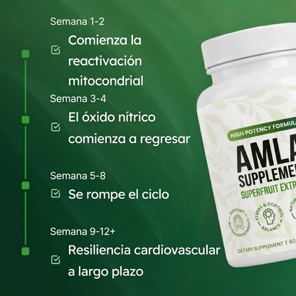AMLA® Cápsulas de Superfruta Milenaria — Protección Antioxidante & Bienestar Cardiovascular
