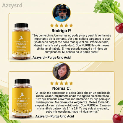 PURGE URIC ACID - DEPURACIÓN AVANZADA PARA EL ÁCIDO ÚRICO, RIÑONES Y ARTICULACIONES ( 60 CAPSULAS )